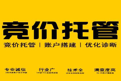 旅游行业SEM托管的成功运用